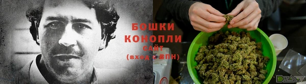 PSILOCYBIN Белокуриха