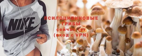 PSILOCYBIN Белокуриха